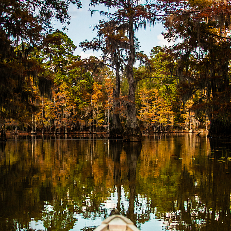5 Best Places in Texas to Bass Fish in the Fall
